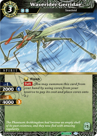 Waverider Gerridae